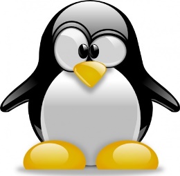 Google Penguin 2.0